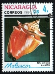 Stamps : America : Nicaragua :  serie- Moluscos