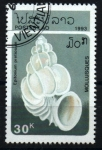 Stamps Laos -  serie- Moluscos