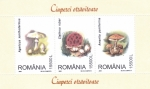 Stamps Romania -  hongos venenosos