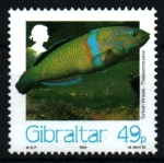 Sellos de Europa - Gibraltar -  serie- Vida marína