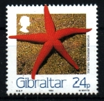 Sellos de Europa - Gibraltar -  serie- Vida marína