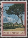 Sellos de Europa - Italia -  pino en la colonia d' Palatino