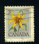 Stamps America - Canada -  serie- Flores