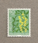 Stamps Switzerland -  Pro juventute 1974