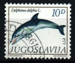 Stamps Yugoslavia -  serie- Fauna Mediterráneo