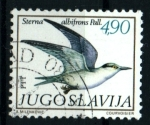 Stamps : Europe : Yugoslavia :  serie- Fauna Mediterráneo