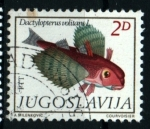 Stamps : Europe : Yugoslavia :  serie- Fauna Mediterráneo
