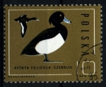 Stamps Poland -  serie- Ánades