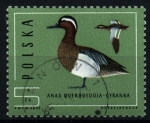Stamps Poland -  serie- Ánades