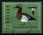 Sellos de Europa - Polonia -  serie- Ánades