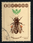 Stamps Poland -  APIMONDIA'87