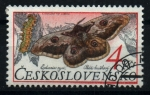 Sellos de Europa - Checoslovaquia -  serie- Mariposas y polillas