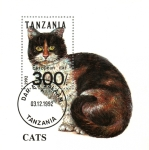 Sellos de Africa - Tanzania -  Gato europeo