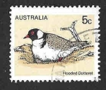 Stamps Australia -  682 - Chorlito Encapuchado