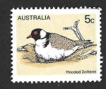 Stamps Australia -  682 - Chorlito Encapuchado