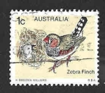 Sellos de Oceania - Australia -  713 - Diamante Cebra Australiano