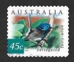 Stamps Australia -  1984 - Maluro Variegado