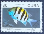 Stamps Cuba -  Abudefduf saxatilis