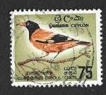Stamps Sri Lanka -  378 - Oropéndola Gorguijera (CEILÁN)
