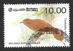 Sellos de Asia - Sri Lanka -  839 - Turdóide Cingalés
