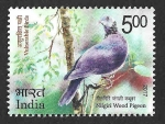Stamps : Asia : India :  Yt2888 - Paloma del Nilgiris