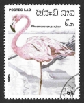 Stamps Laos -  712 - Flamenco Rosa