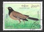 Stamps Laos -  1215 - Miná Común
