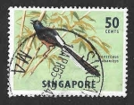 Stamps : Asia : Singapore :  66 - Shama Culiblanco