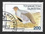 Stamps : Asia : Tajikistan :  85 - Perdíz Moruna