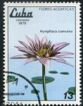 Sellos de America - Cuba -  Flores Acuáticas