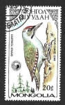 Stamps Mongolia -  1555 - Pájaro Carpintero Pito Cano