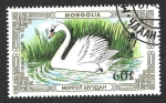 Sellos de Asia - Mongolia -  1610 - Cisne Común