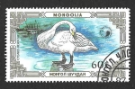 Sellos de Asia - Mongolia -  1611 - Cisne Chico de Bewick