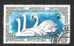Stamps Mongolia -  1612 - Cisnes