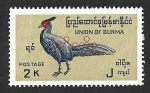 Stamps : Asia : Myanmar :  O114 - Faisán Kalij (BIRMANIA-UNION DE BURMA)
