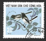 Stamps Vietnam -  704 - Shama Oriental (VIETNAM DEL NORTE)
