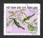 Stamps : Asia : Vietnam :  706 - Carbonero Común (VIETNAM DEL NORTE)