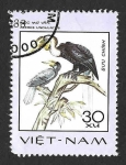 Stamps Vietnam -  867 - Cálao Gorginegro​​