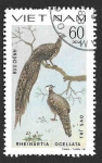 Stamps : Asia : Vietnam :  1015 - Faisán de Rheinard