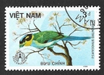 Stamps Vietnam -  1664 - Eurilaimo Lorito 