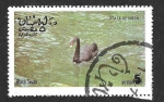 Stamps Oman -  (C) Cisne Negro