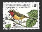 Stamps : Africa : Cameroon :  926 - Alcaudón