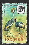 Stamps : Africa : Lesotho :  323a - Grulla Coronada 