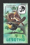 Stamps : Africa : Lesotho :  325a - Cosifa Cafre