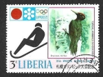 Stamps Liberia -  578 - Picamaderos Negro