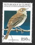 Stamps : Africa : Guinea :  1269 - Ruiseñor Común
