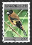 Stamps Guinea -  1368 - Cardenalito