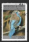 Sellos de Africa - Guinea -  1369 - Azulito Carirrojo