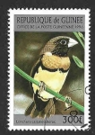 Stamps Guinea -  1370 - Capuchino Pechicastaño