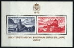 Sellos de Europa - Liechtenstein -  LIBA'72